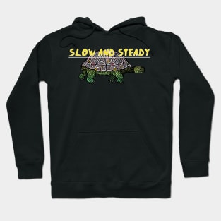 Slow and steady tortoise and the hare pink Hoodie